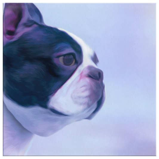 Buy canvas wall art with Boston Terrier Prints online | Roscoe & Charlie