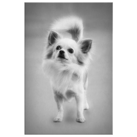 Lola VI Gallery Canvas | Dog Wall Art