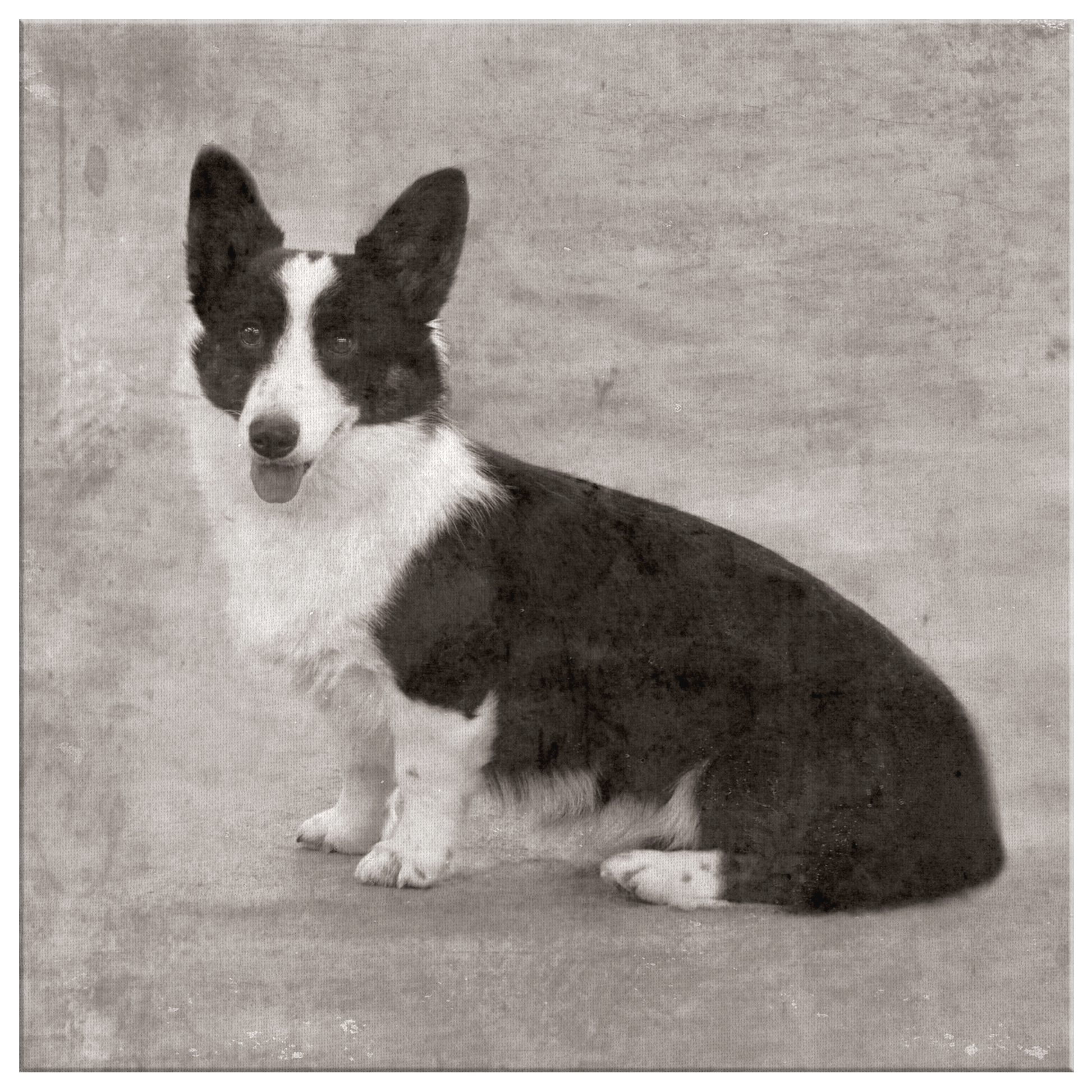 Buy Cardigan Welsh Corgi Canvas online | Roscoe & Charlie