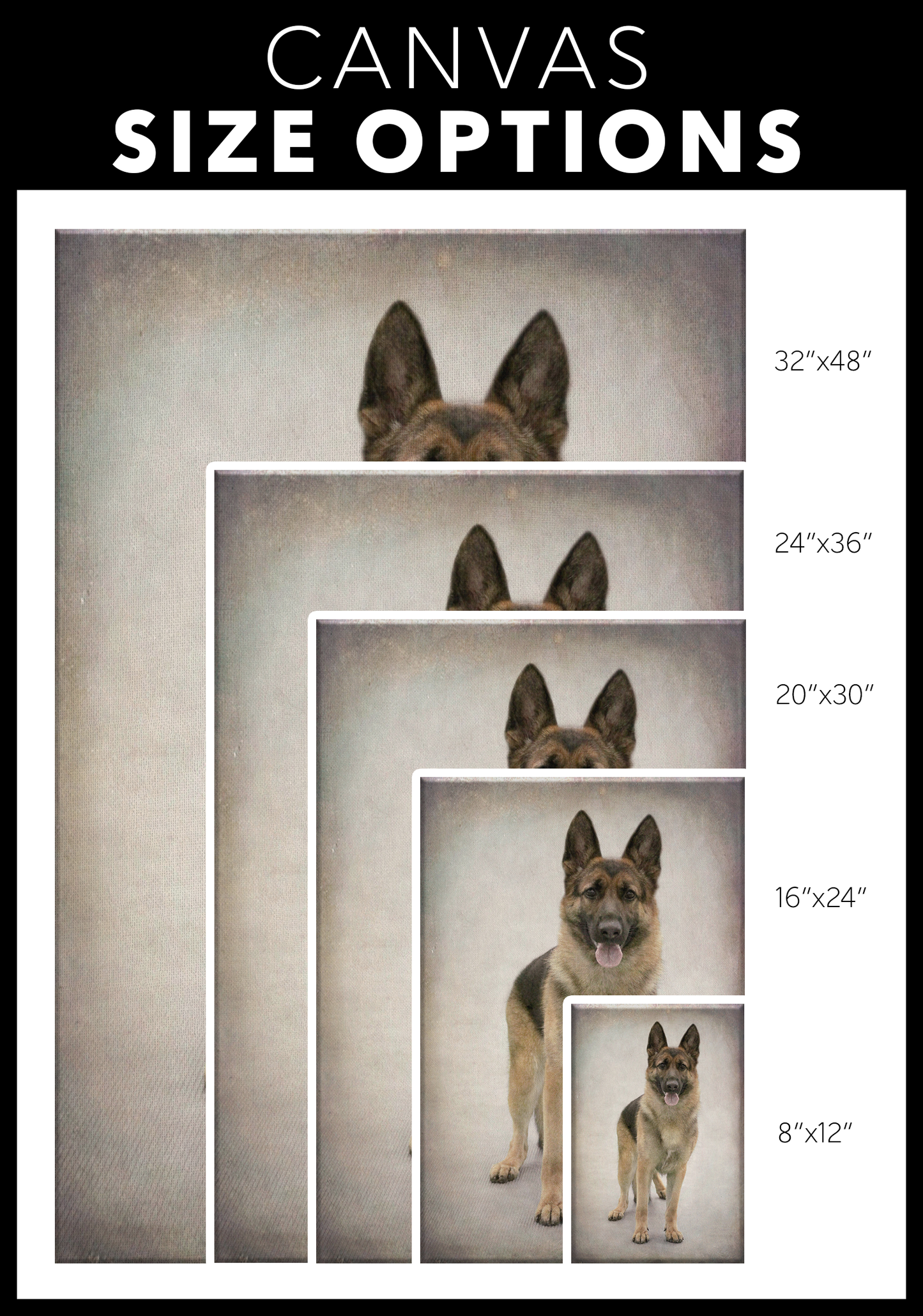 German Shepherd Wall Canvas | Roscoe & Charlie