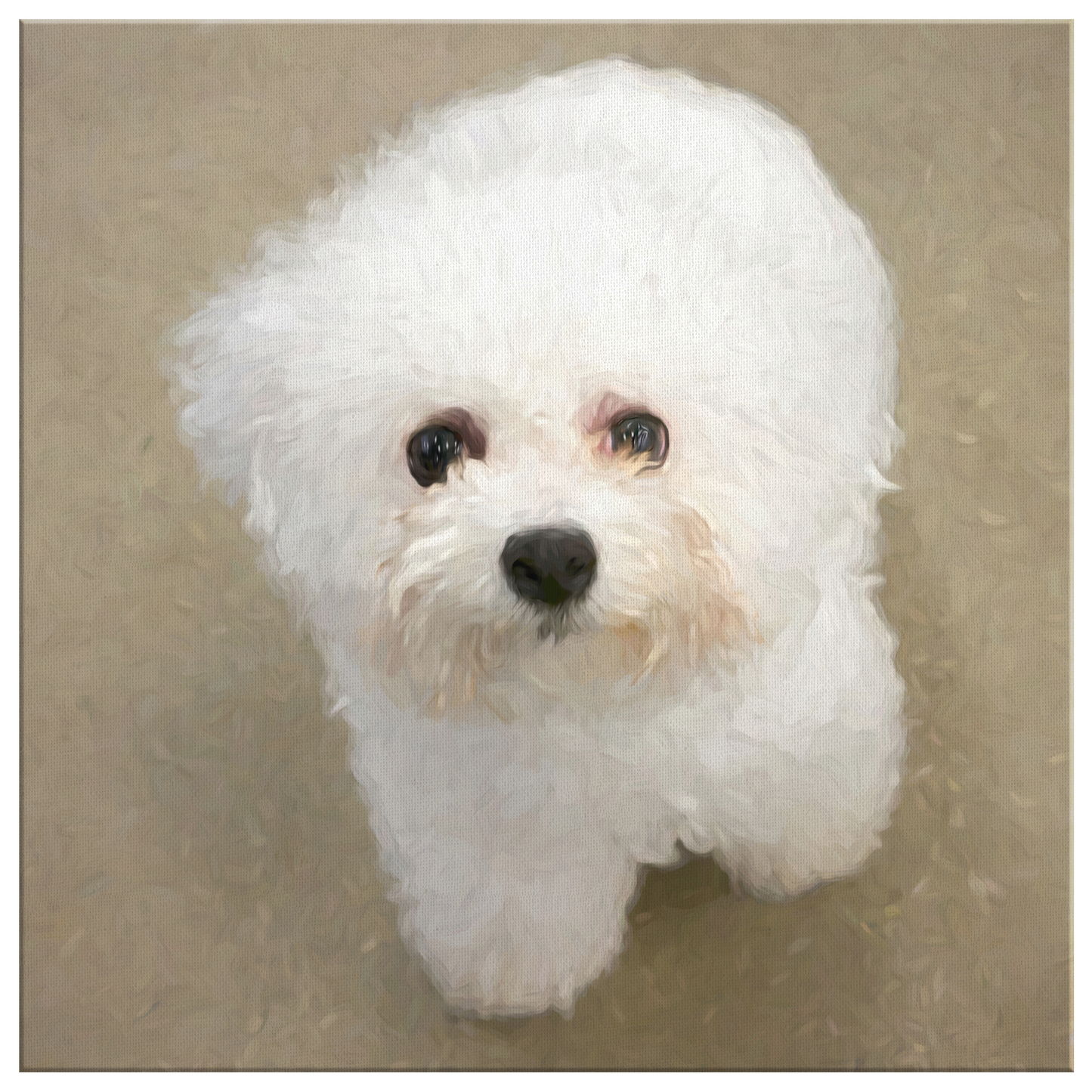 Buy canvas art with Bichon Frise prints online | Roscoe & Charlie