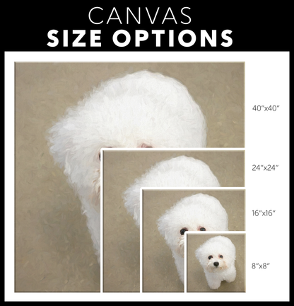 Bichon Frise wall art available online | Roscoe & Charlie