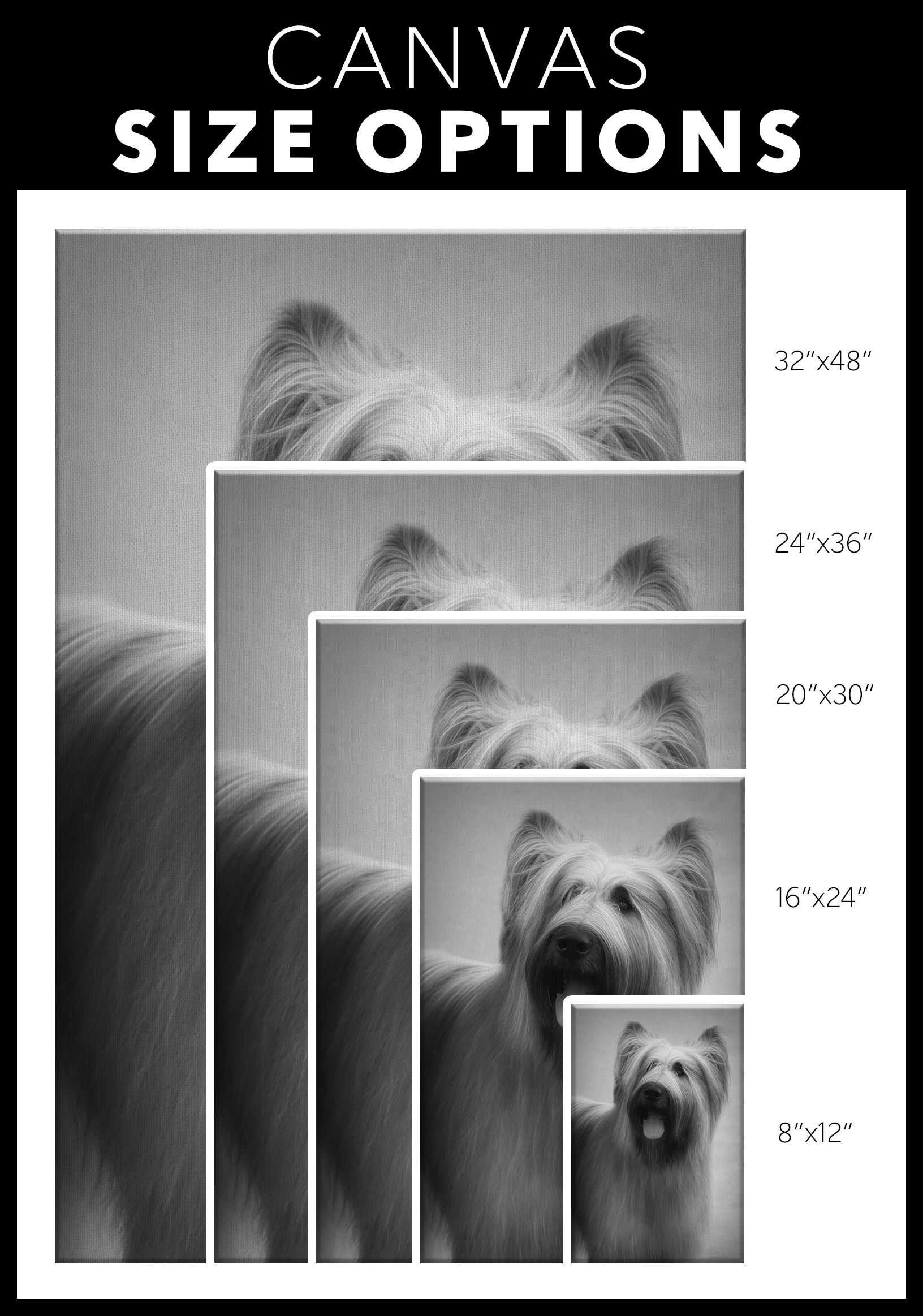 Briard art available online | Roscoe & Charlie