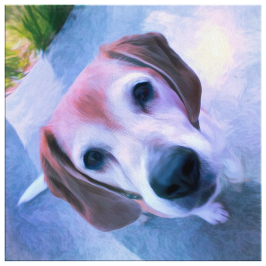 Buy canvas art with Beagle prints online | Roscoe & Charlie