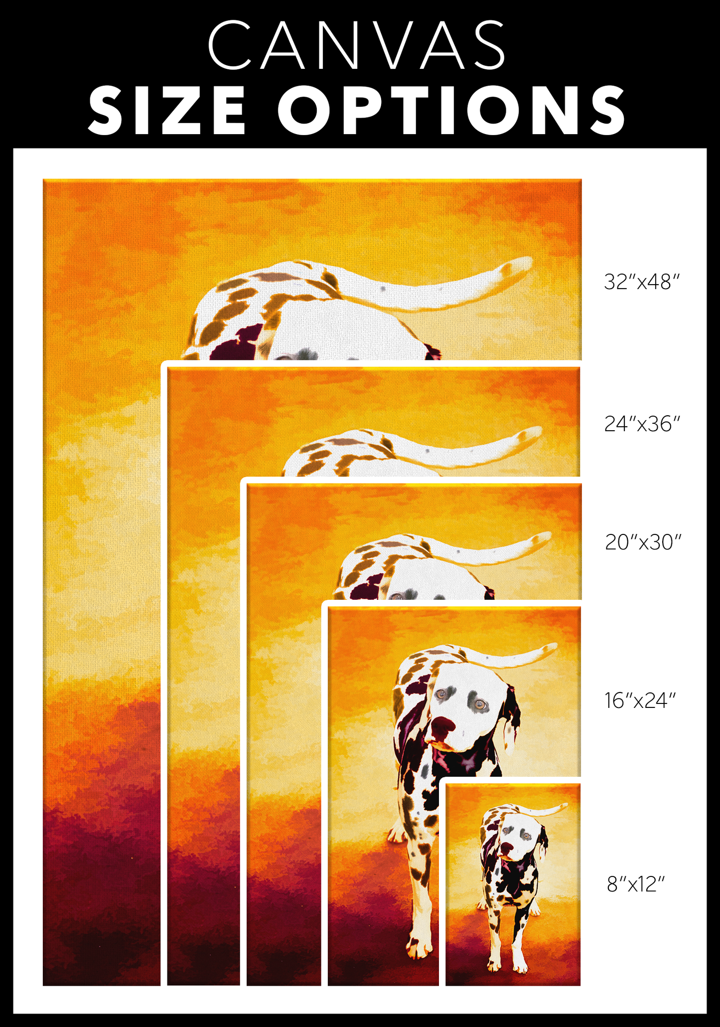 Dalmatian Wall Art available online | Roscoe & Charlie