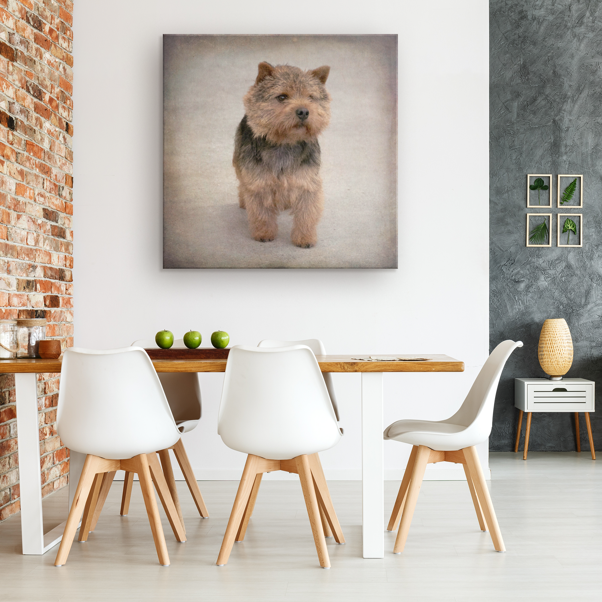 shop for canvas wall art with Norwich Terrier prints online | Roscoe & Charlie