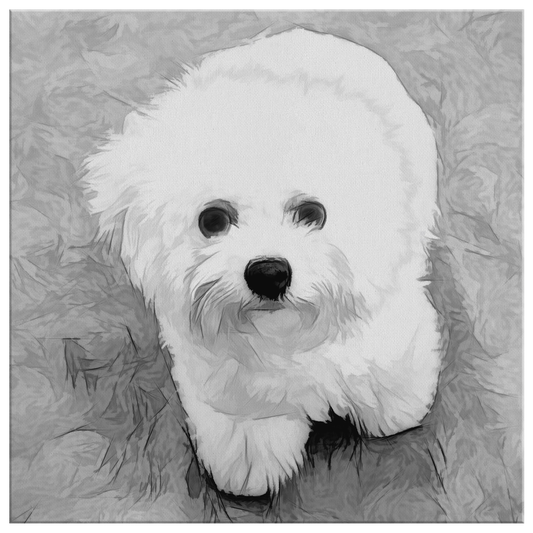 Buy canvas art with Bichon Frise prints online | Roscoe & Charlie