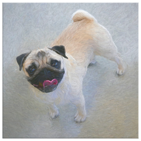 Buy Pug Wall Canvas Online | Roscoe & Charlie