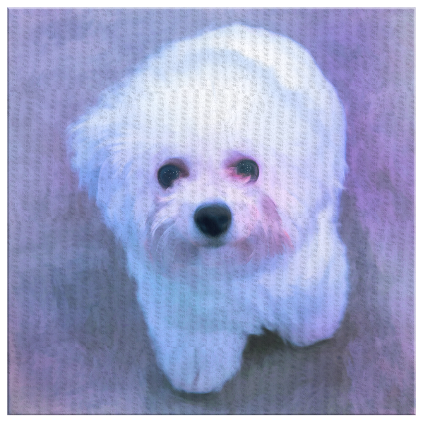 Buy canvas art with Bichon Frise prints online | Roscoe & Charlie