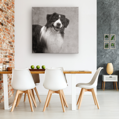 shop for canvas wall art with Australian Shepherd prints online | Roscoe & Charlie