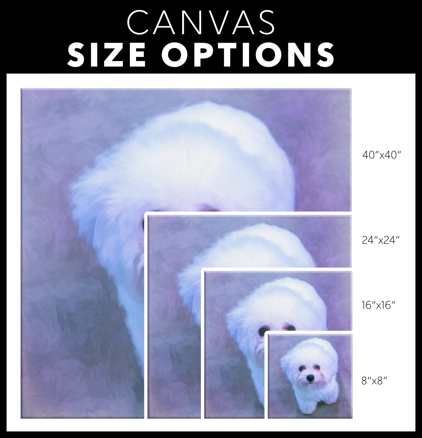 Bichon Frise wall art available online | Roscoe & Charlie