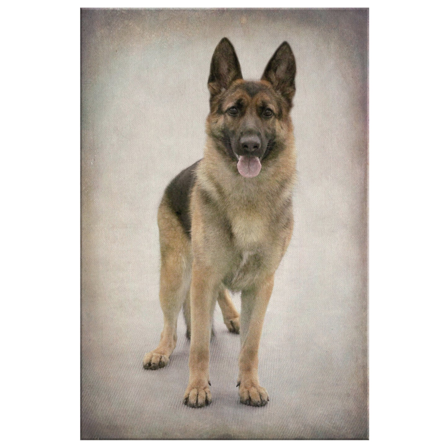 Buy German Shepherd Dog Wall Canvas | Roscoe & Charlie