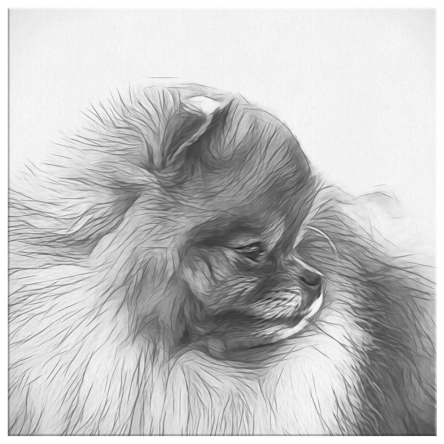 Buy Pomeranian Wall Art Online | Roscoe & Charlie