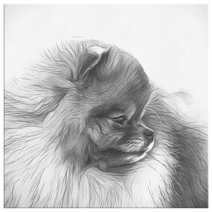 Buy Pomeranian Wall Art Online | Roscoe & Charlie