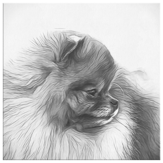 Buy Pomeranian Wall Art Online | Roscoe & Charlie