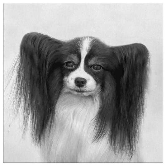 Buy canvas wall art with Papillon artwork | Roscoe & Charlie