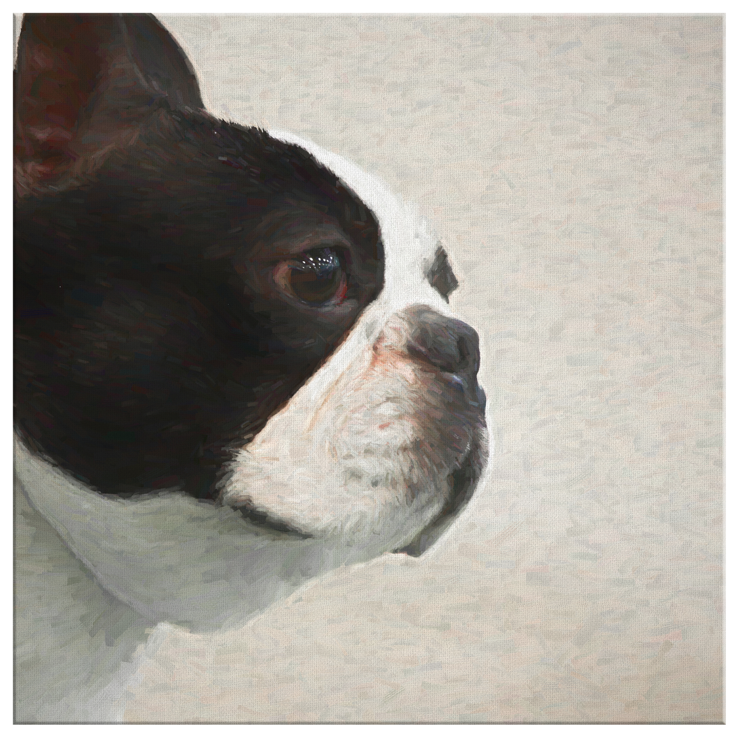 Buy canvas art with Boston Terrier prints online | Roscoe & Charlie