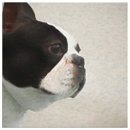 Buy canvas art with Boston Terrier prints online | Roscoe & Charlie