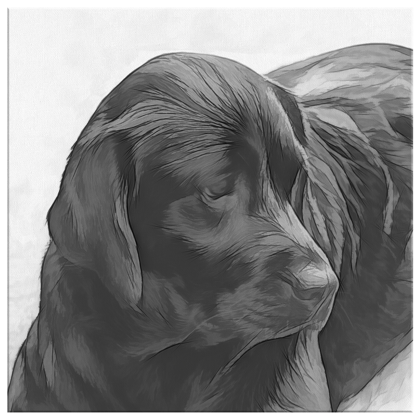 Lylah III Gallery Canvas | Dog Wall Art