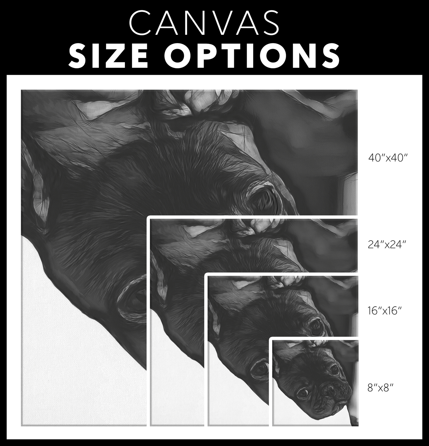 Buy French Bulldog Canvas Wall Art | Roscoe & Charlie